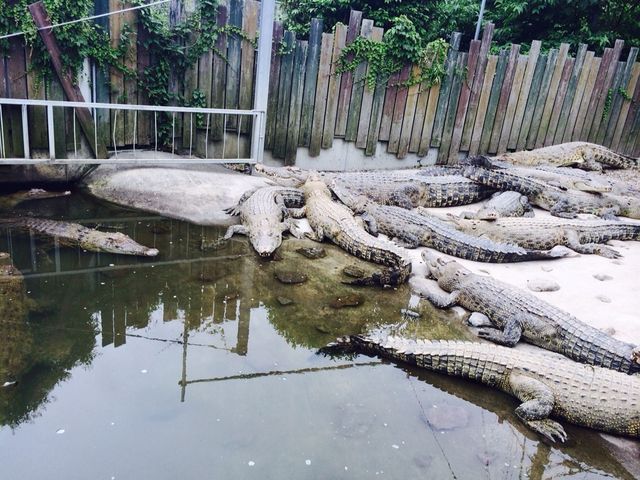 ���j���炯_�S�R�n��