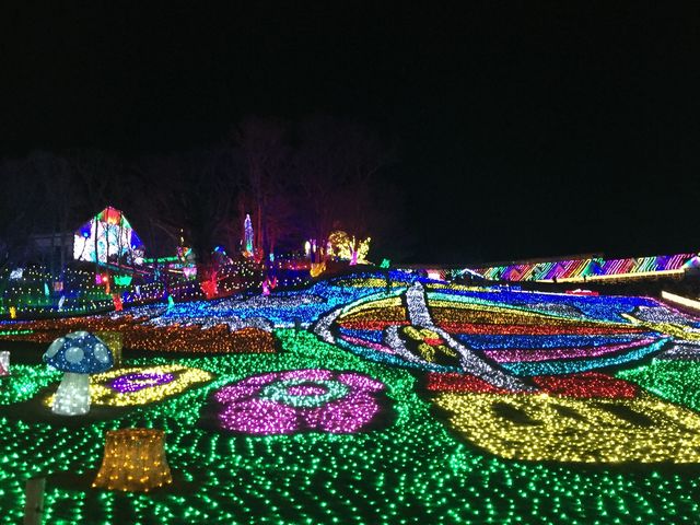 �C���~�l�[�V����_�����h�C�c��