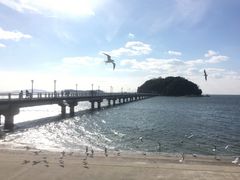 ܂ǂς񂾂̒|ւ̓eʐ^1