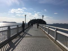 ܂ǂς񂾂̒|ւ̓eʐ^2