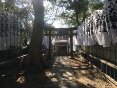 ܂ǂς񂾂̒|ւ̓eʐ^4