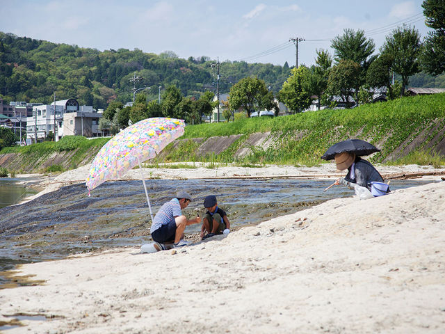 ���Q���Ζ�O�w�K�n_���Q���Ζ�O�w�K�n