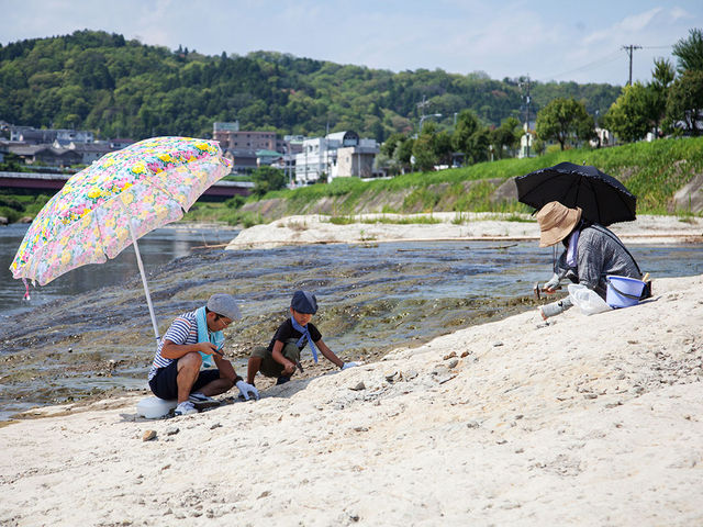 ���Q���Ζ�O�w�K�n_���Q���Ζ�O�w�K�n