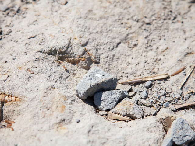 ���Q���Ζ�O�w�K�n_���Q���Ζ�O�w�K�n