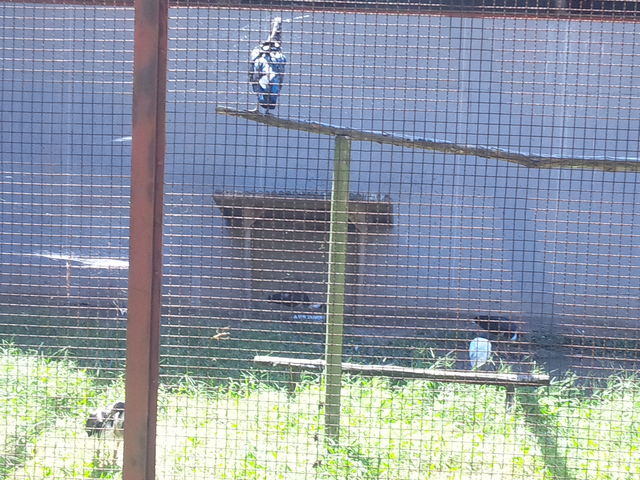 �g�L�̐��Ԃ��w�ׂ܂��B_�g�L�̐X����