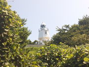 ܂䂫̕P蓕ق̓eʐ^1