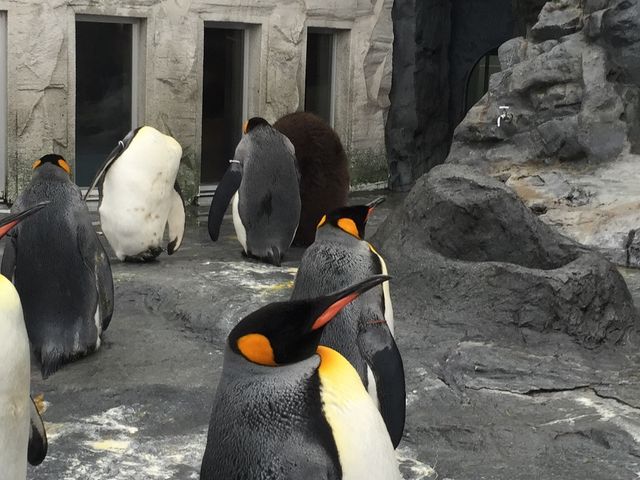 �݂�Ȑ������H_���R������