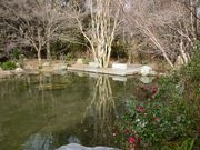 ߋT|~̍cqu̓eʐ^1