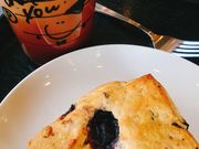 TL̃X^[obNX R[q[ TSUTAYA sT[`p[NXiStarbucks Coffeej̓eʐ^1