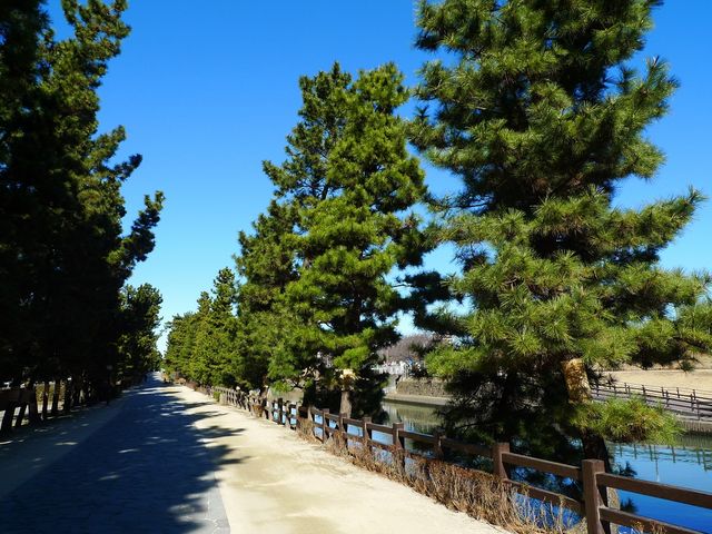 �����؂ƗV����_���������V����