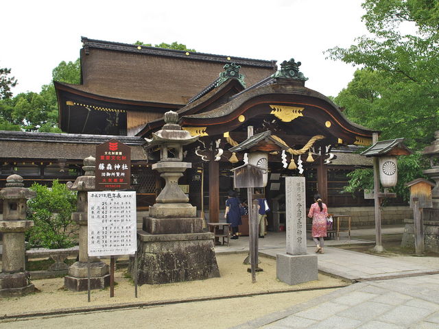 ���X�_��_���X�_��