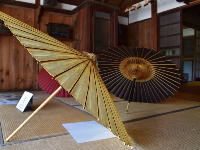 aP≮BaPǂoĂ܂B_]˓Ẳ