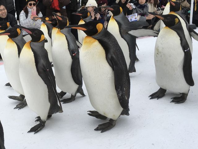 ���R������_���R������