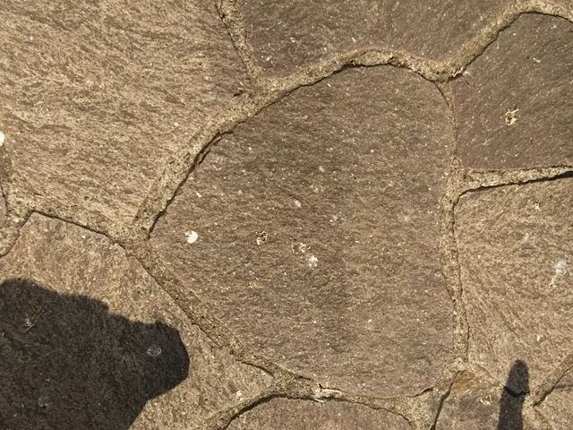 �u�����g����������V��L��֍s���r���B_���l����