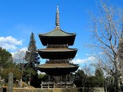 �g�N�T������̊ω������i�ŎR�m�����j�̓��e�ʐ^2