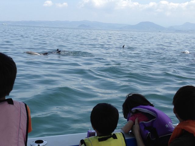 DŃCJ̑܂ōs܂B_LV^ف@T^}A