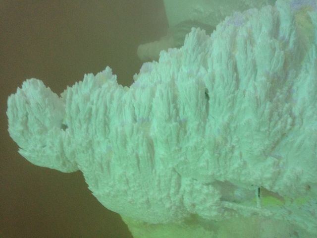 ��̃��C�g�A�b�v�B���Ⴂ�Ă��Ă��������琔�������Č���܂���_��������