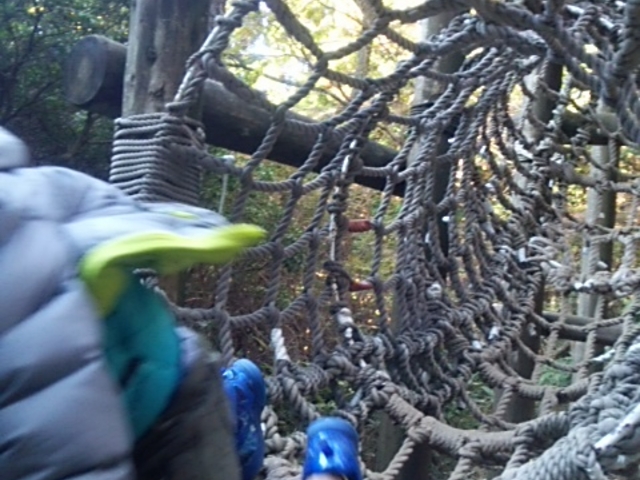 �Z�b�R�A�X���`�b�N�p�[�N GREENIA