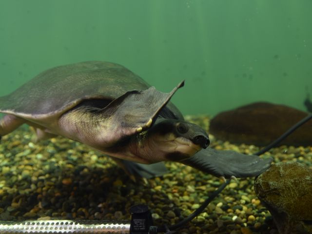 �J�������܂����B_�����Ȍ���