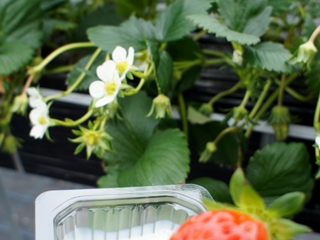 �����͂���Ȃ����炢�̊Â��ł��B_���[��������