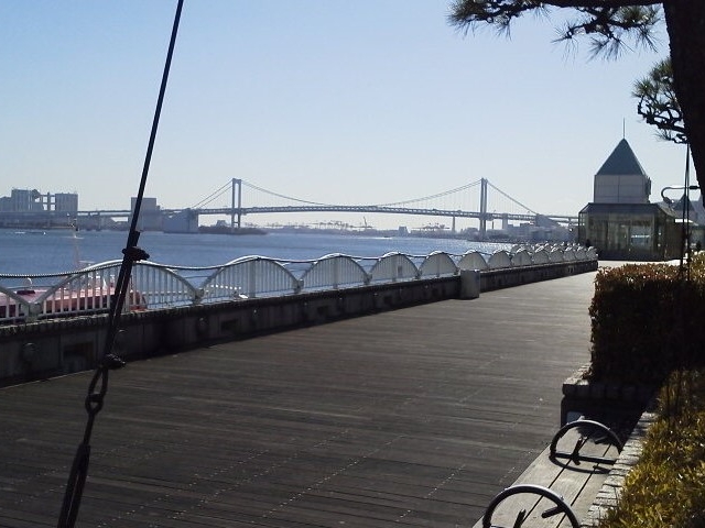 �|�ŎV������̉��i_�����p�[���D�^�|�Ł[���C���{�[�u���b�W�[�����[�H�c