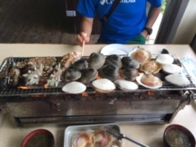 ܂͂܂ɂāB_CNlĂE܂͂