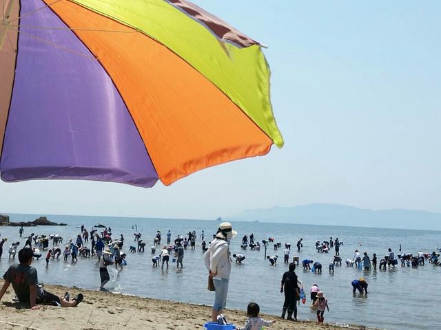 潮干狩りシーズン_赤穂唐船サンビーチ潮干狩り場