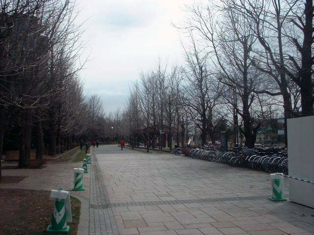 ���R���L��_��������