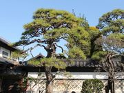 luK[̗^̊pcsyق̓eʐ^5