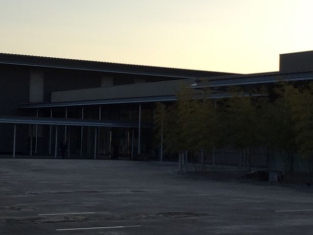 �[���̎ʐ^_�R������������