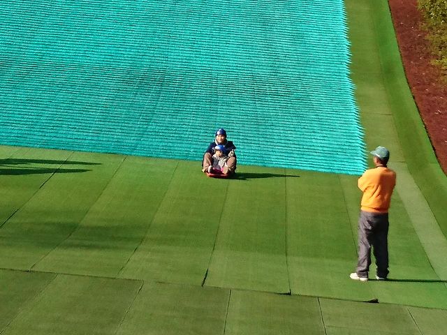 ���芊��_�s���l�G�̐X