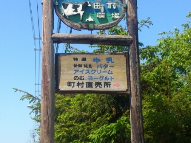 �Ŕ�_�����_��~���N�K�[�f��