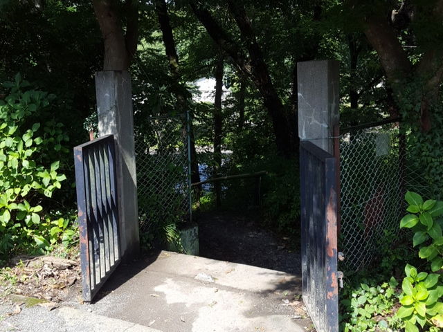 �J���ւ̓����_���Ԑ�