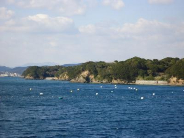 �p��p_�����G�X�p�[�j���N���[�Y