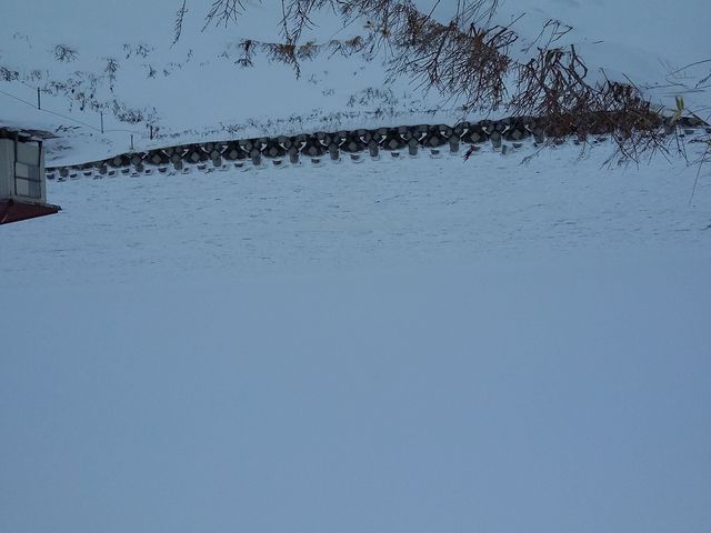 �t���܂ł��I_���X