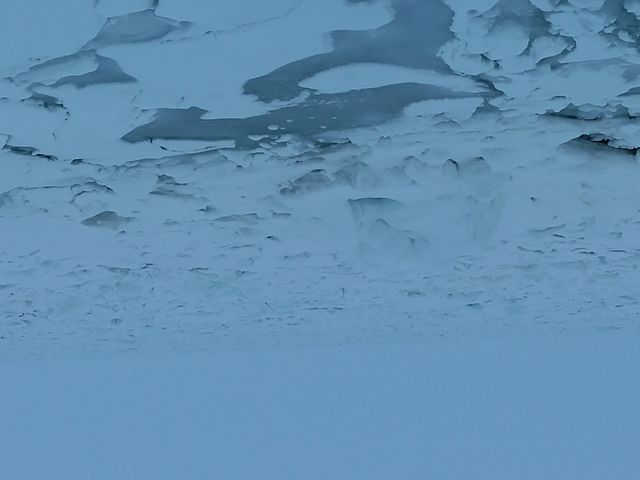 ������t���܂ł��I_���X