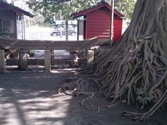 hiroshi̍_vւ̓eʐ^1