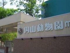 �~�R�������̎ʐ^1