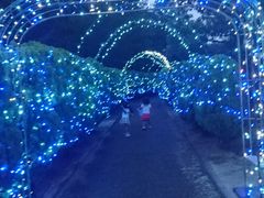 ۂ񂽂̖Oكg[hւ̓eʐ^1