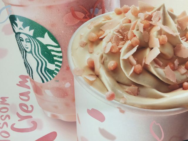 X^[obNX_X^[obNXER[q[ c`2^[~iX