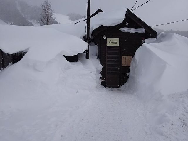 �~�̘I�V���C����_����������i��