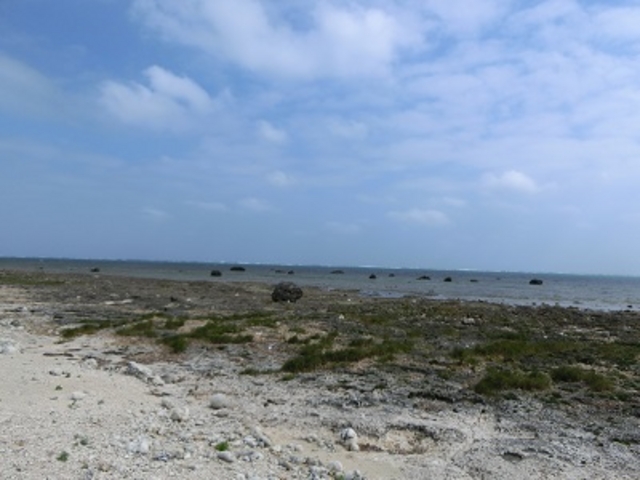 �Â��ȕl�ł���_���ۊC��