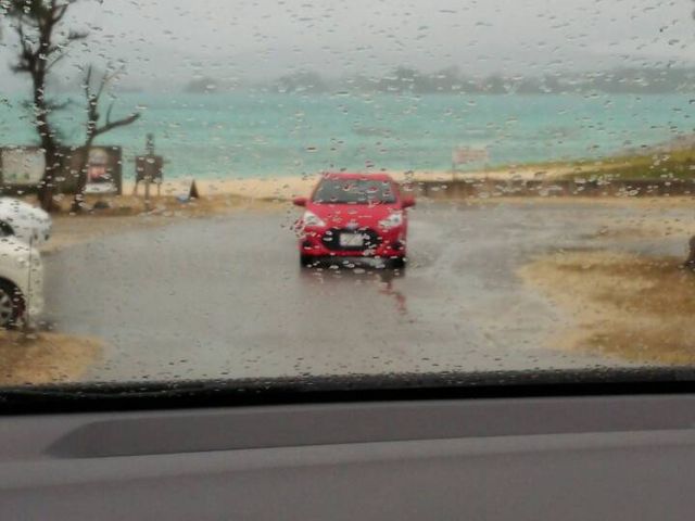 �ԓ����猩���C_�P���i�̌��ό��j