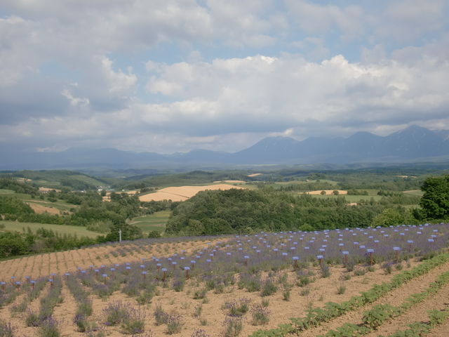 light̐[R̃x_[̓eʐ^2