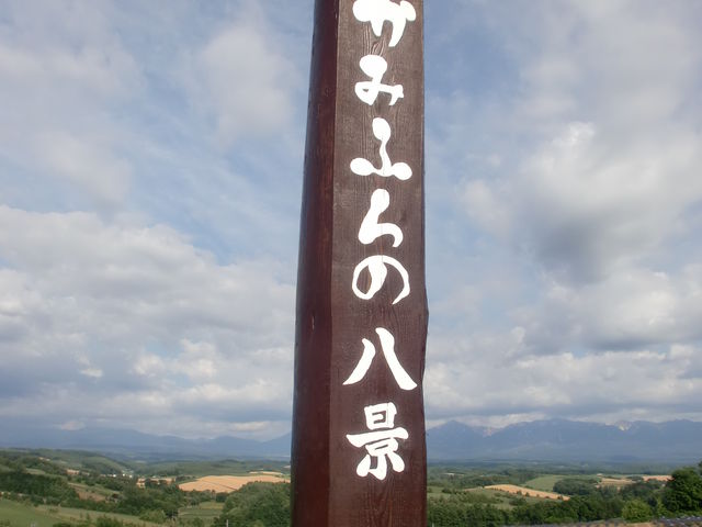 �[�R���W�]��_�[�R���W�]��