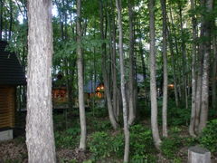 light̃VbsO[hujOeXvւ̓eʐ^1