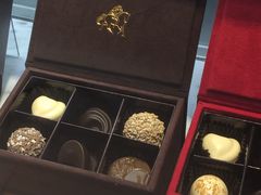 ɂɂ񂳂̃SfBo h[VeBN[AXւ̓eʐ^1