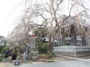 5525̋ʕ󎛁iܕSj̓eʐ^2