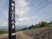 light̐[R̃x_[̓eʐ^1