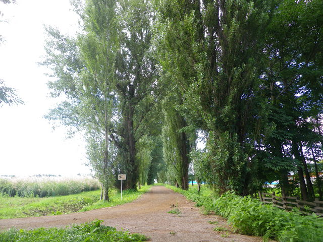 �|�v��_�k��|�v������